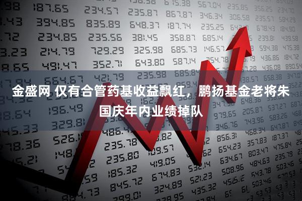 金盛网 仅有合管药基收益飘红，鹏扬基金老将朱国庆年内业绩掉队