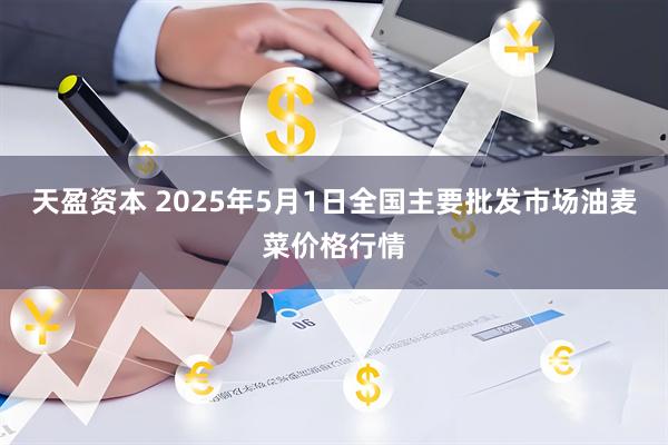 天盈资本 2025年5月1日全国主要批发市场油麦菜价格行情